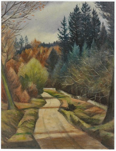 Road through forest - through, a