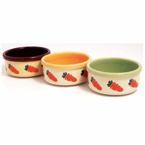 Rabbit guinea bowl ceramic - bowl,