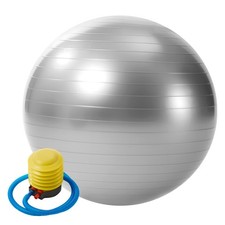 55/65/75CM Exercise Ball Yoga