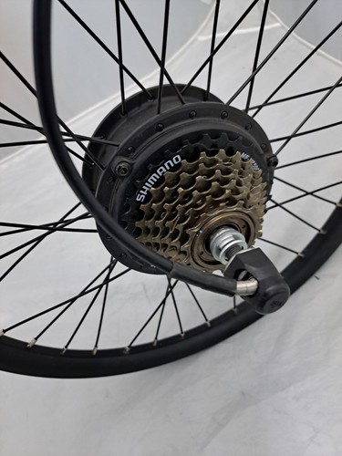 20in 36v 250w rear - 36v,