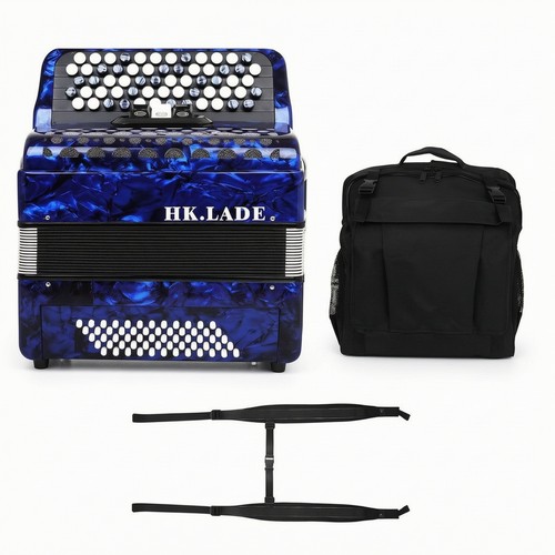 Button accordion with bag - accordion,
