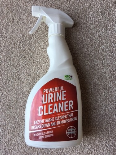 Pet urine odour - &, stain