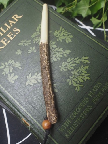 Spindle wood wand - spindle,