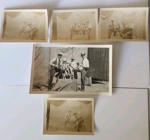 Early 1900 various - various, lion