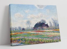 TULIP FIELDS SASSENHEIM
