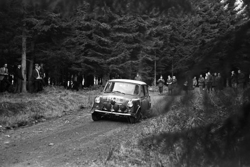 Mini cooper 1966 rally car - mini,