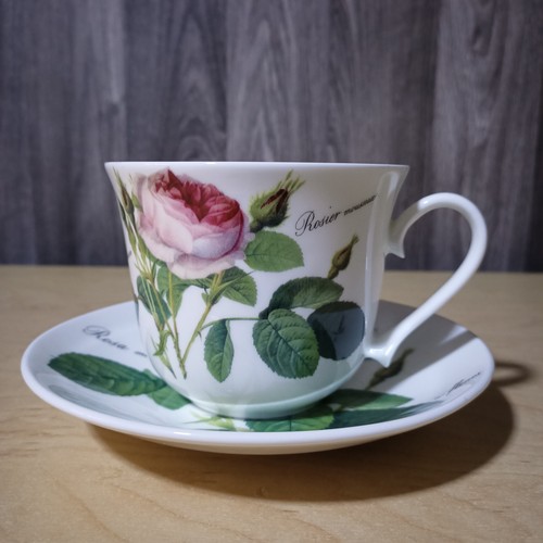 Roy kirkham redoute roses fine - kirkham,