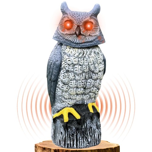 Solar garden owl statue with - solar,