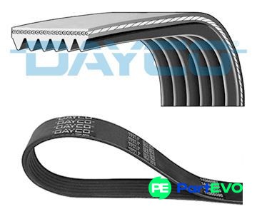Dayco ribbed belt 6pk1217s - belt,