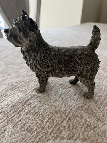 Cairn terrier gray - terrier, gray/black