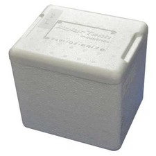 Insulated Bio Foam Shipping