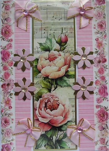 Pink rose flower blooms hand - flower,