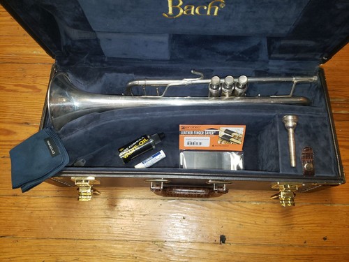Crazy recent bach - recent,
