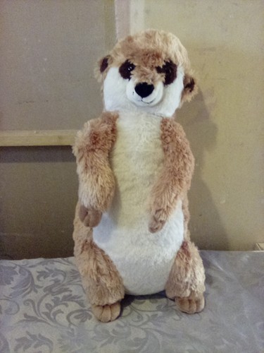 Meerkat plush toy play - meerkat, toy.play
