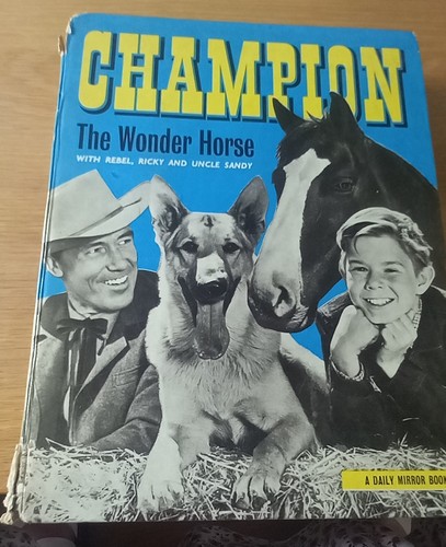 Champion the wonder horse - champion,