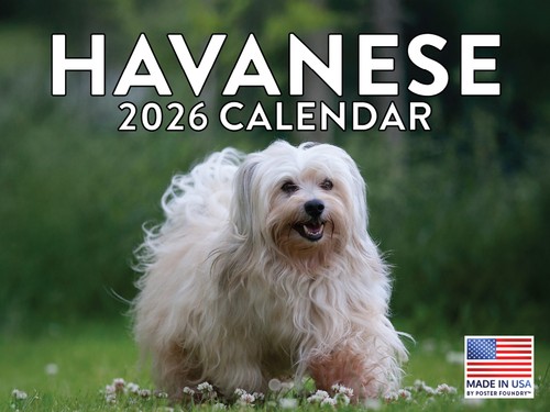 Havanese calendar 2026 - havanese,
