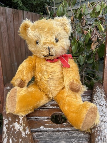 Vintage pedigree teddy bear - vintage,