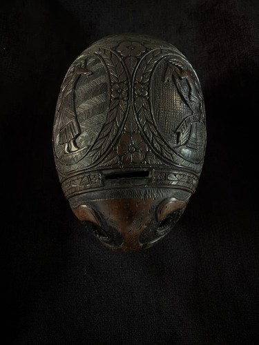 Exquisite coconut bugbear - exquisite,