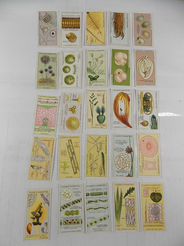 Players cigarette cards hidden - players,