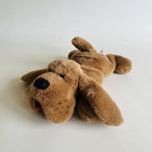 Aurora bloodhound basset hound - basset,