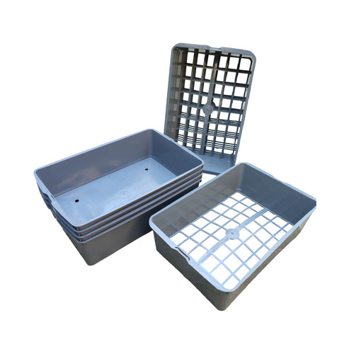 7cm square plant pot - plant, trays