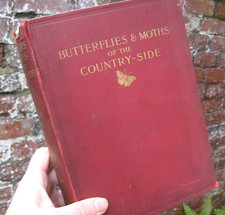 Butterflies and Moths of the