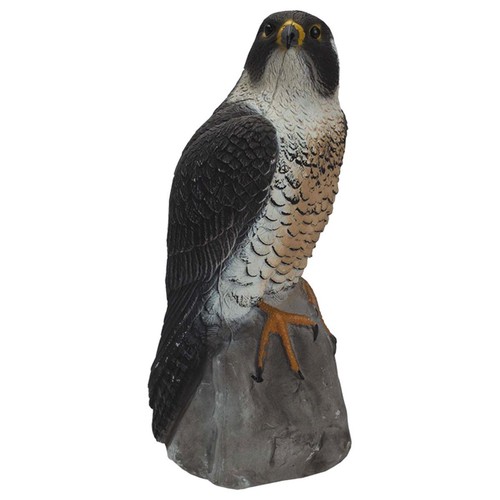 Sport plast peregrine - sport,