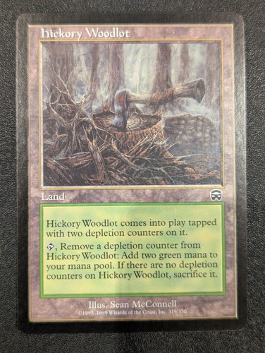 Hickory woodlot mercadian - hickory,