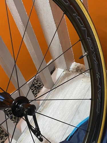 Campagnolo bora wto carbon - bora,