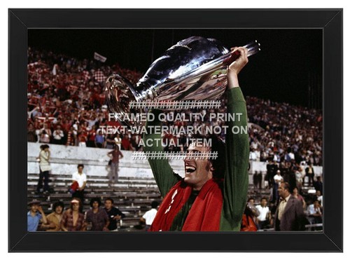 Framed 1977 ray clemence - 1977,