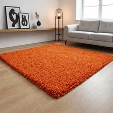 Extra Large Thick Shaggy Rug