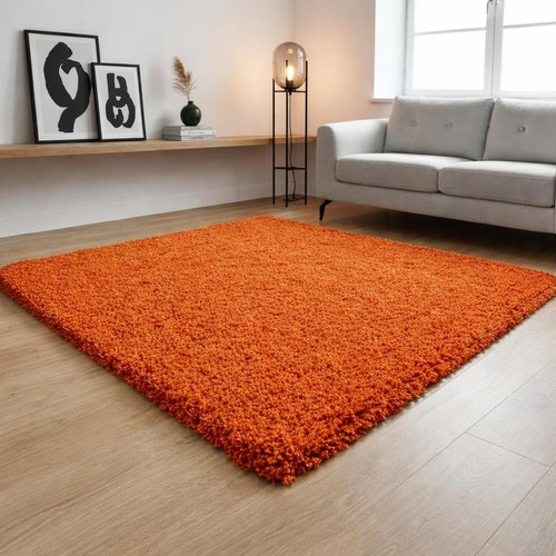 Shaggy rug extra - rug,