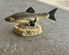 Chub - The Anglers Showcase Collection - Danbury Fishing Angling (Not A Book)