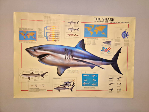 Vintage 1993 great white - vintage,