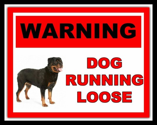 Warning dog running - 10,