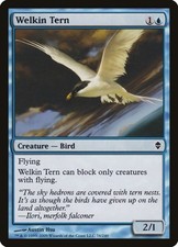 Welkin Tern (76)