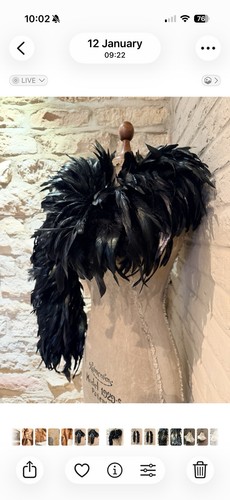 Gothic black feather collar - black,