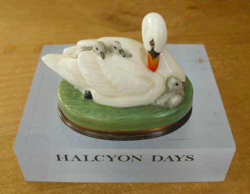 Halcyon days swan cygnets - days,