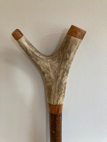 Hand crafted hazel - hand, stagshorn