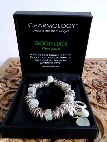 Charmology stylish silver - charmology,