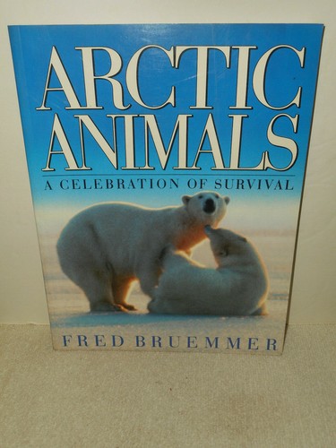 Arctic animals celebration - a,