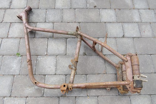 Triumph terrier tiger cub - terrier,