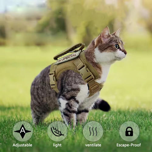 Tactical cat harness - tactical, –