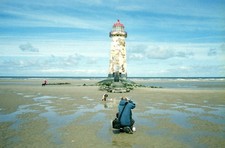 Photo 12x8 Canine Photo