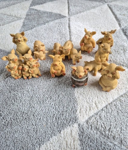 Pig leonardo collection - 10,