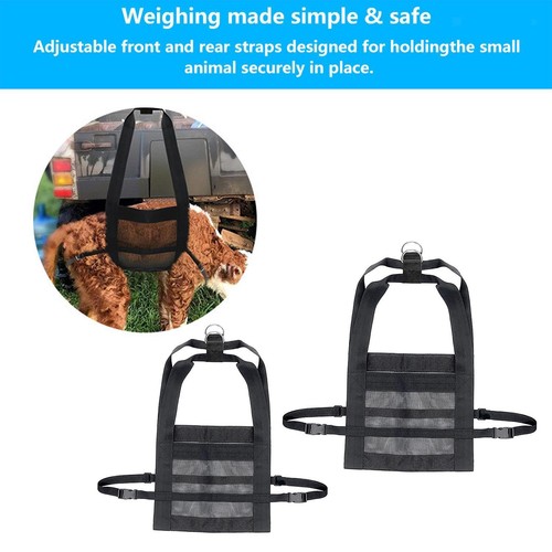 Livestock weighing strap calf - livestock,