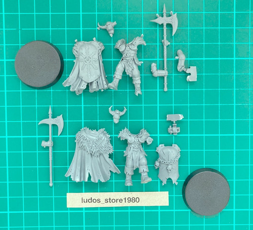 Chaos warriors e warrior - warriors,
