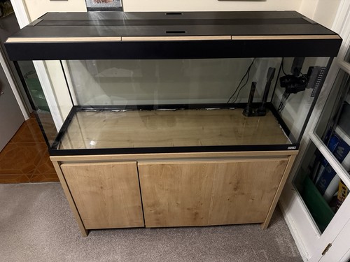 Fluval roma 240 - roma, fish