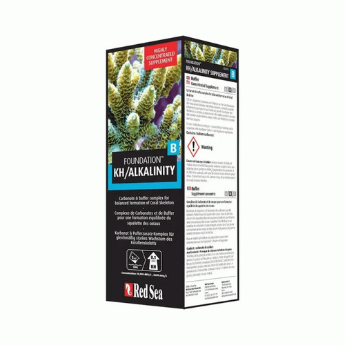 Red sea foundation - sea,