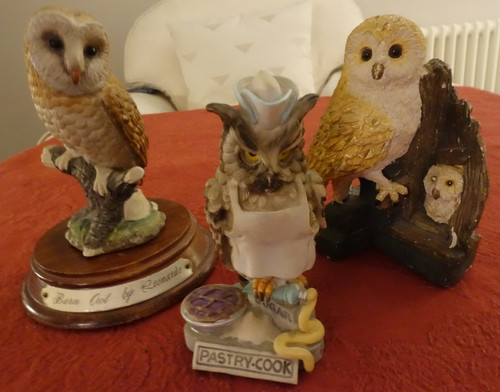 Collection ceramic owls - collection,